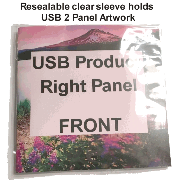 USB flash drive in folded 2 panel artwork right/front panel