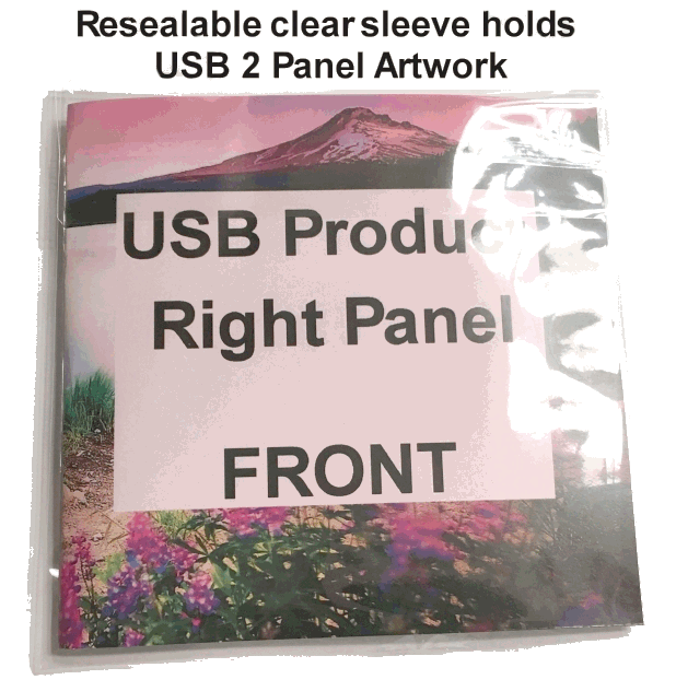 USB flash drive in folded 2 panel artwork right/front panel USB flash drive in folded 2 panel artwork right/front panel